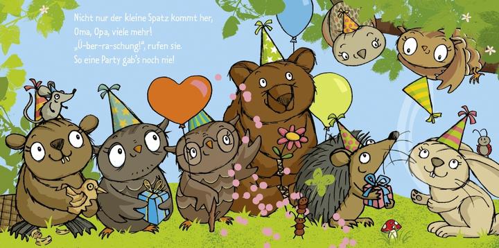 Produktbild Die kleine Eule hat Geburtstag (Deutsch, Susanne Weber, 2020)