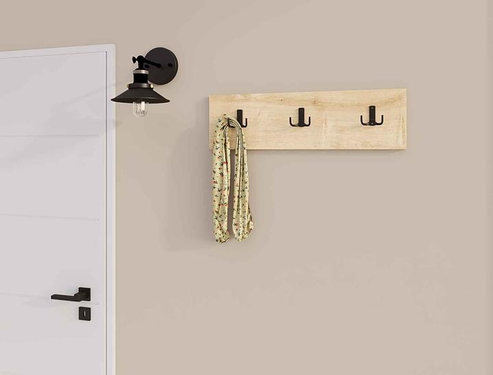 Actual product image Homitis Triook Wall Hook