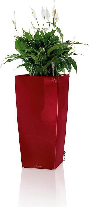 Actual product image Lechuza Cubico (22 cm)