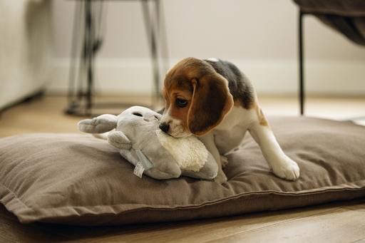 Immagine prodotto Beeztees Cucciolo Coccole Giocattoli e Simulatore di battito cardiaco (Giochi per cuccioli)