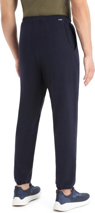 Actual product image Icebreaker Men Dalston Jogger (L)
