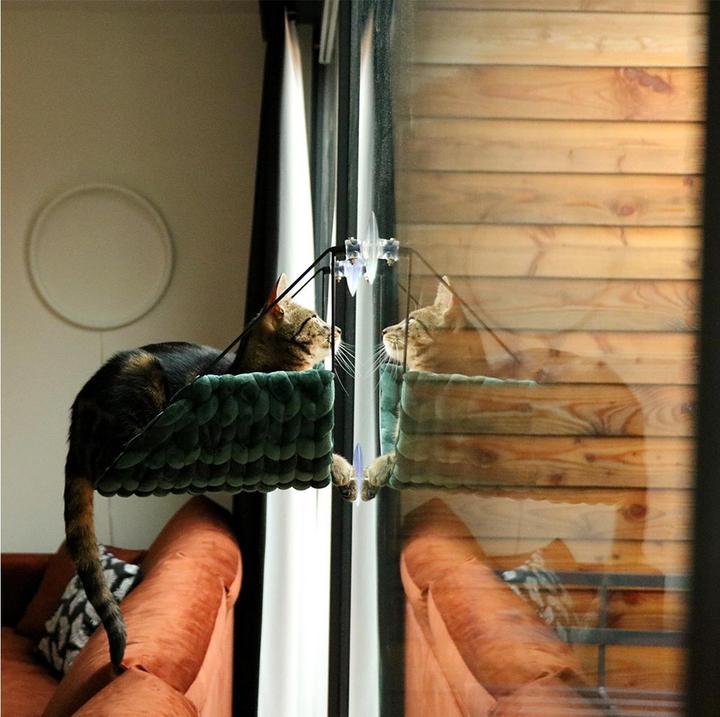 Immagine prodotto D&D Sofia Fensterbett (Gatto)
