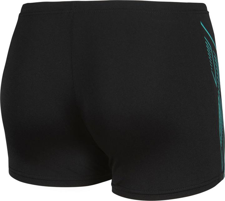 Actual product image Arena B Reflecting Swim Short (116)