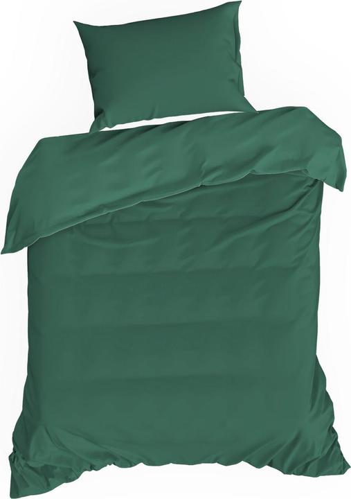 Vert foncé
