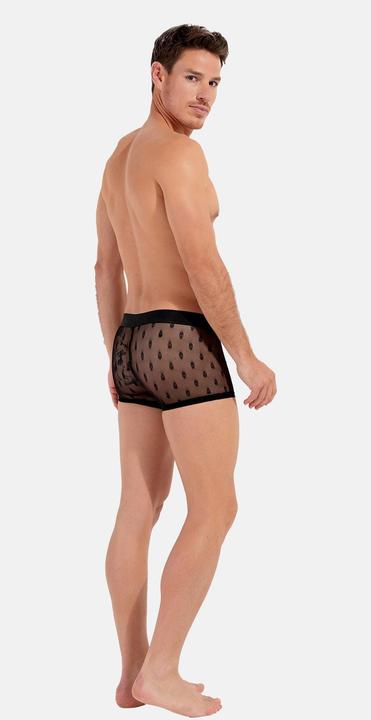 Immagine prodotto HOM Trunk Dark (XL, Confezione singola)