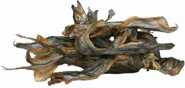 Produktbild Trixie Trockenfisch (Adult, 1 Stk., 400 g)