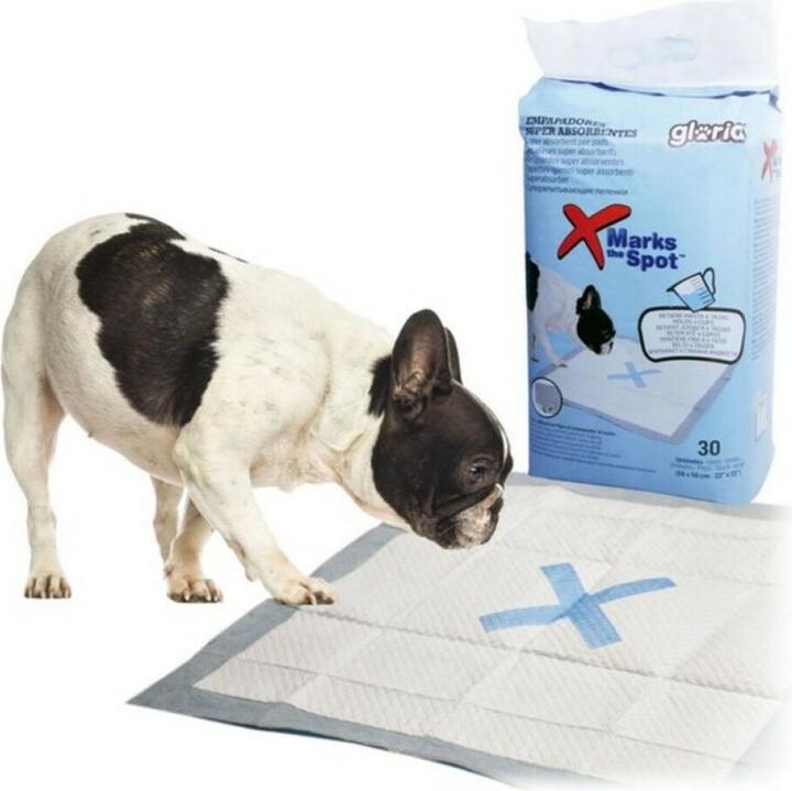 Gloria Pets Super-absorbent Puppy Training Pad (Dog)