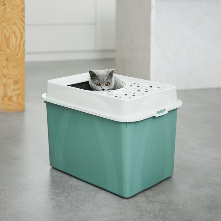 Actual product image Rotho Berty Eco (Cat litter tray open)