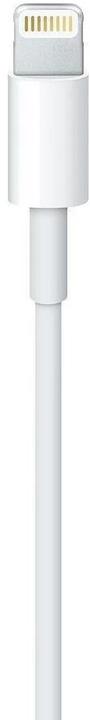 Produktbild Apple Lightning to USB Cable (1m) (1 m, USB 2.0)