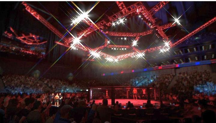 Immagine prodotto EA Games Colpisce PlayStation: UFC 3 (PS4, DE)