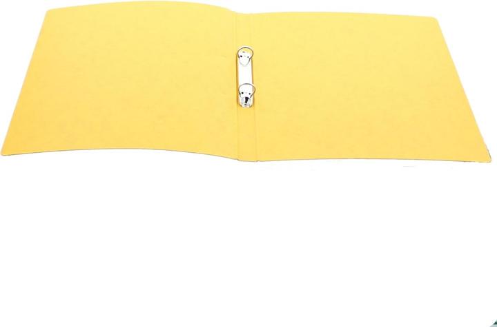 Immagine prodotto Pagna 44096-05 Raccoglitore ad anelli (A4, 23 mm)