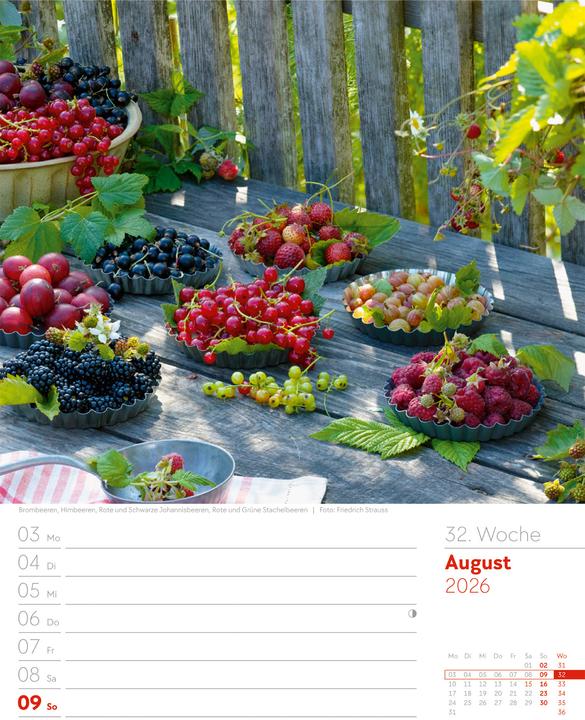 Produktbild Gartenglück - Wochenplaner Kalender 2026 (25 x 33 cm, Harter Einband, Deutsch)