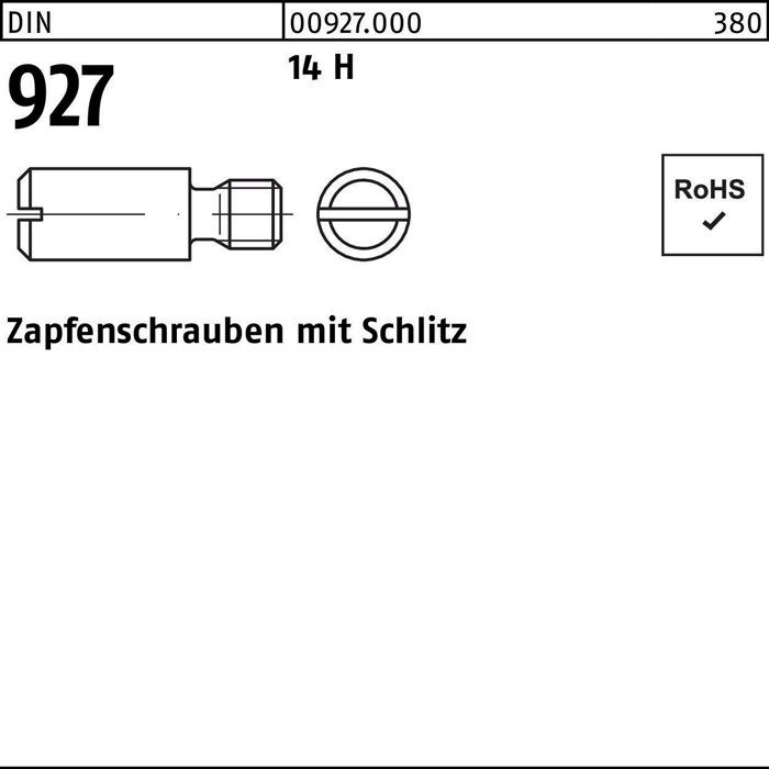 Productafbeelding Tapschroef DIN 927 met sleuf M 6 x 10 14 H (100 Schroeven per stuk)