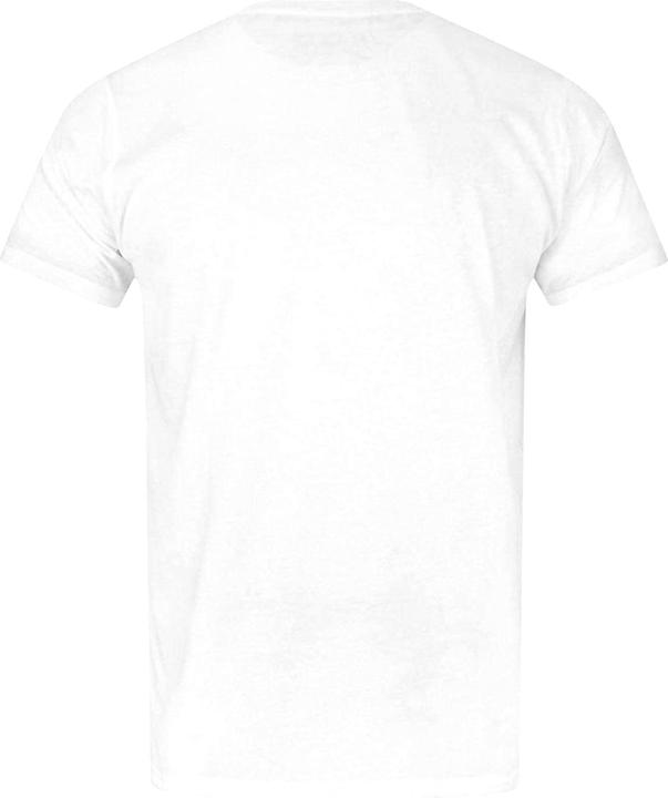 Actual product image Star Wars official Haynes Darth Vader TShirt (S)