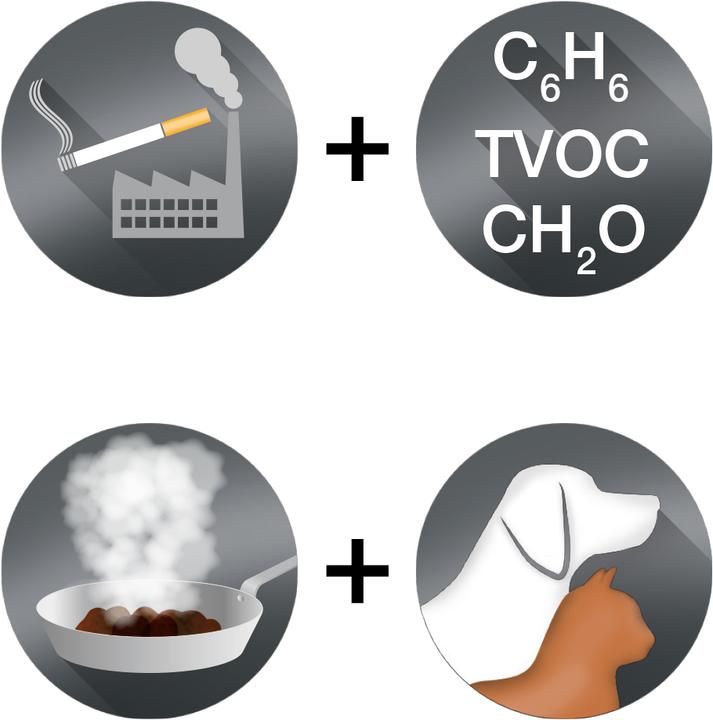 Actual product image Braun BRFV1E Contains 1 odour and VOC replacement filter (1 x)