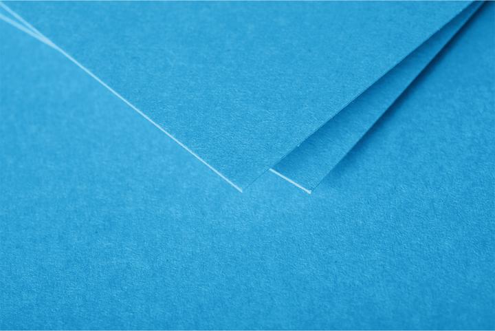 Produktbild Pollen Umschläge (110 x 220 mm, 20 x)