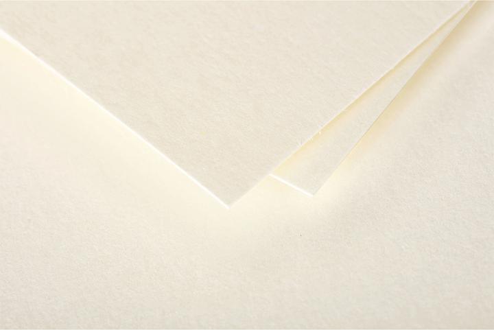 Produktbild Pollen Karten (210 g/m², 7000 x, 160 x 160 mm)