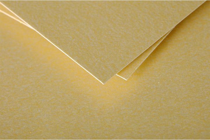 Produktbild Pollen Doppelkarte (210 g/m², 25 x, 135 x 135 mm)