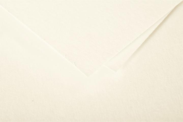 Produktbild Pollen Karten (210 g/m², 106 x 213 mm)