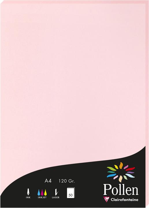 Produktbild Pollen Papier (120 g/m², A4)