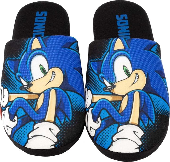 Actual product image Sonic The Hedgehog Slippers (45.5)