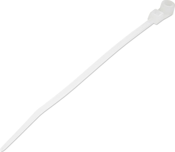 Produktbild StarTech 10cm(4") Cable Ties with Mounting Hole, 2mm(1/16") wide, 24mm(7/8") Bundle Dia. (Kunststoffkabelbinder, 3 mm, 100 Stk.)