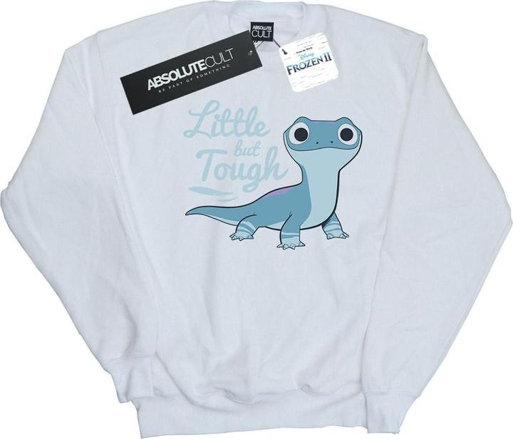 Disney Frozen 2 Salamander Bruni Tough Sweatshirt (L)