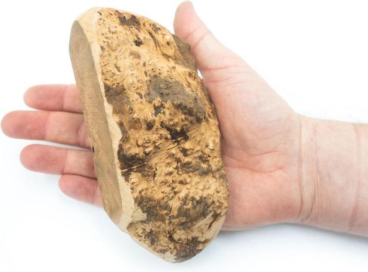 Produktbild 4Dogs Original 4DOGS - Kauwurzel aus Heide - M (Senior, 1 Stk., 300 g)