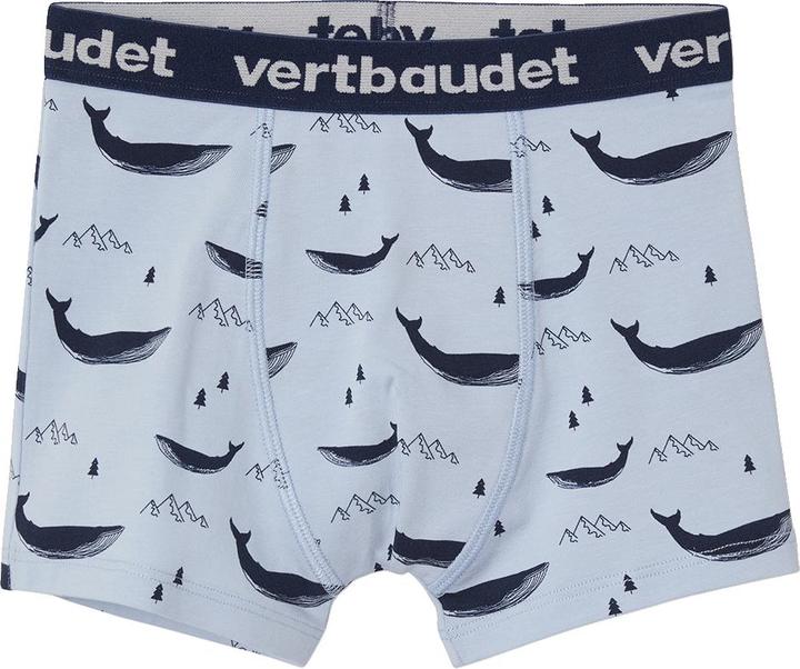 Immagine prodotto Vertbaudet Slip Intimo (158, 164, Confezione da 5 pezzi)