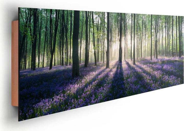 Produktbild Eibert Visual Enchanted Forest (156 x 52 cm)