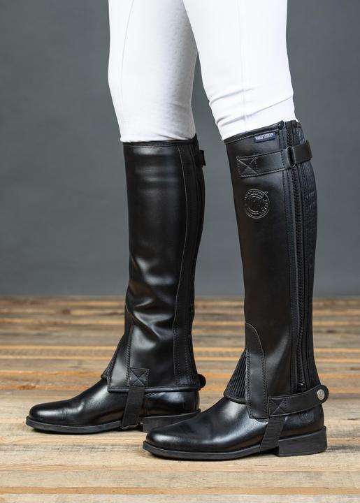 Produktbild Harry's Horse Connect (XL)