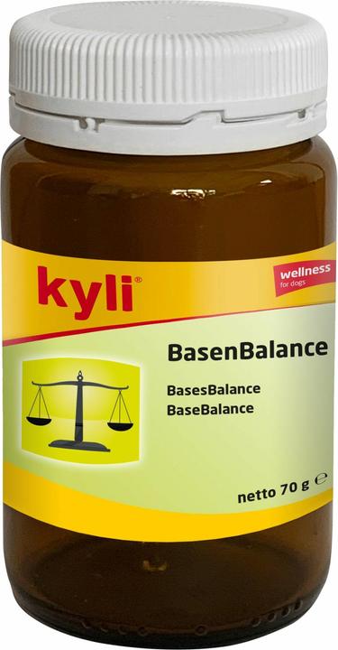 Produktbild Kyli BasenBalance (Adult, Senior, 1 Stk., 170 g)