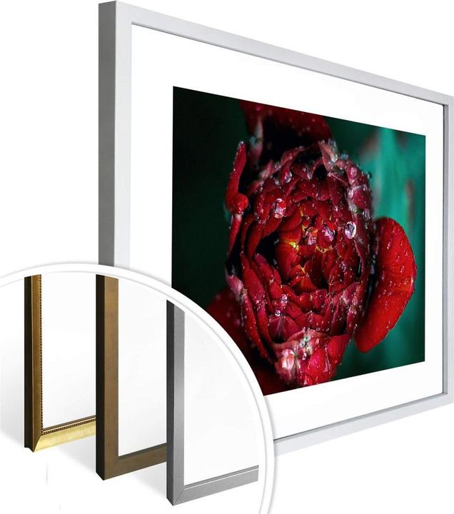 Immagine prodotto Trenddeko Peonia dopo la pioggia (30 x 24 cm)