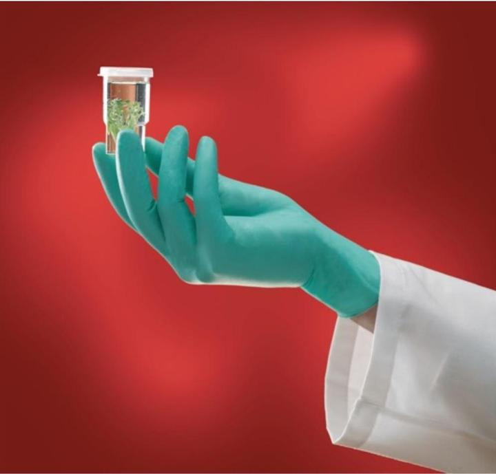 Image du produit Ansell Gants jetables Microflex NeoTouch® 25-101 taille 9,5-10 vert clair Néoprène EN 374 Catégorie EPI III (9.5, 10)