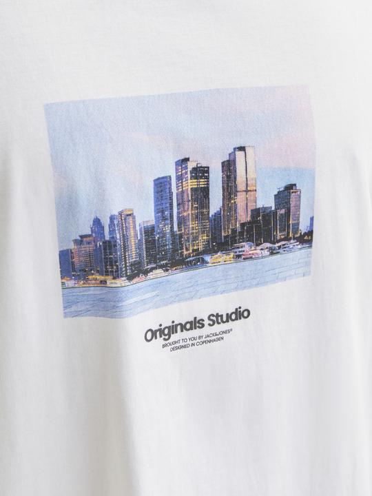 Produktbild Jack & Jones Jorvesterbro Picture Tee Ss Crew Neck Sn (S)