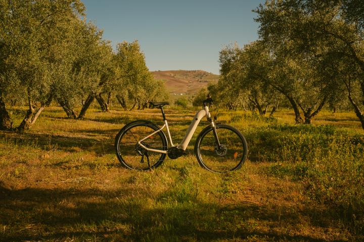 Produktbild Rockrider E-Bike SUV Trekking 28 Zoll e-actv 500 LF niedriger Einstieg Yamaha beige