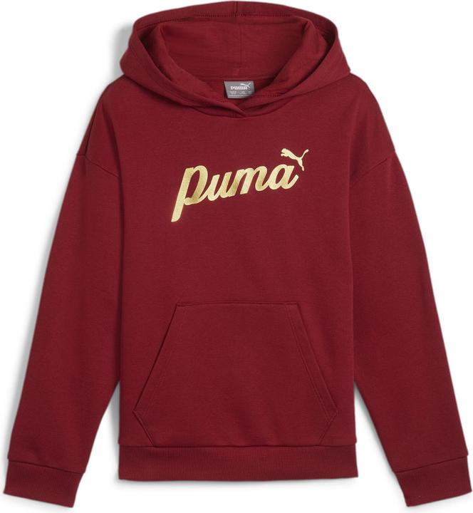 Puma ESS+ SCRIPT Metallic Hoodie FL G (152)