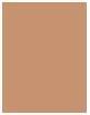 Actual product image Estée Lauder Double Wear Stay In Place (3C3 Sandbar)