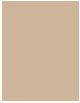 Produktbild Dr. Hauschka Concealer (02 Chestnut)