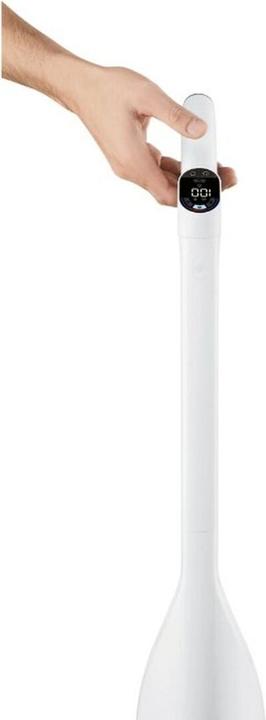 Image du produit Roborock Flexi Lite