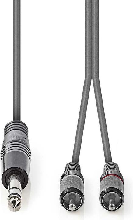 Immagine prodotto Nedis Cavo audio stereo 6,35 mm maschio - 2X RCA maschio (3 m)
