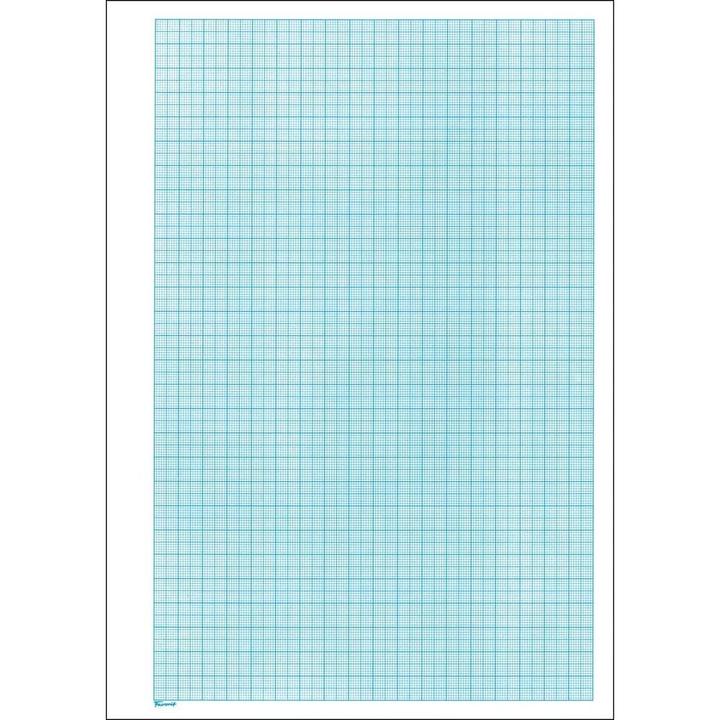 Image du produit Favorit Bloc de papier millimétré (A4, Quadrillé)