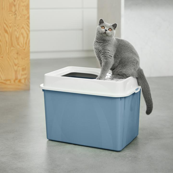 Actual product image Rotho Berty Eco (Cat litter tray open)