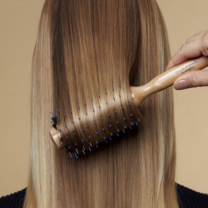 Image du produit Sisley La Brosse Ã Brushing N°1