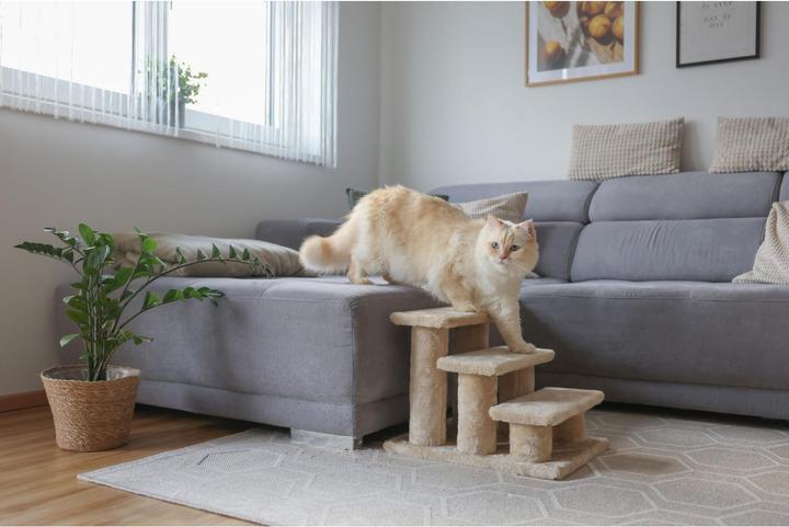 Immagine prodotto Kerbl Scala per animali Easy Climb 2.0 (34 cm, Naturale/Natura)