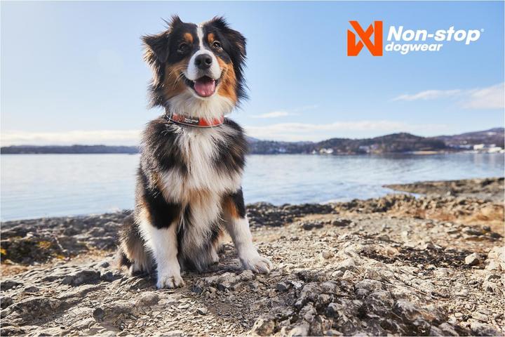 Produktbild Non-Stop Dogwear Cruise Collar Orange XXS (XXS, Hund, Spazieren)
