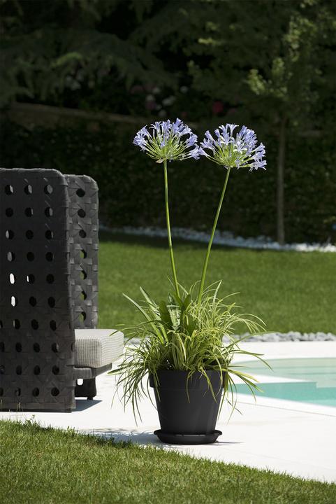 Actual product image Euro3plast Planter Mitu, round, Ø 30x27 cm, made of plastic in anthracite (30 cm)