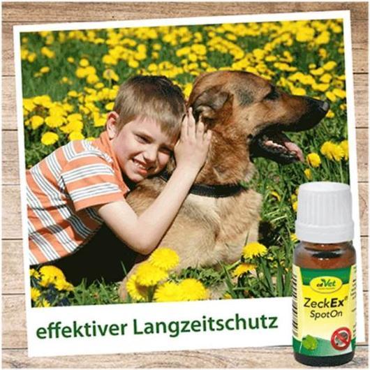 Produktbild cdVet ZeckEx SpotOn (Katze, Nager, Hund, 10 ml)