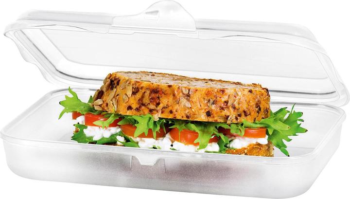 Actual product image Rotho Storage box