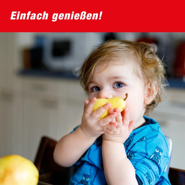 Actual product image Swissinno Fruchtfliegenfalle mit Lebensmittelköder 1er